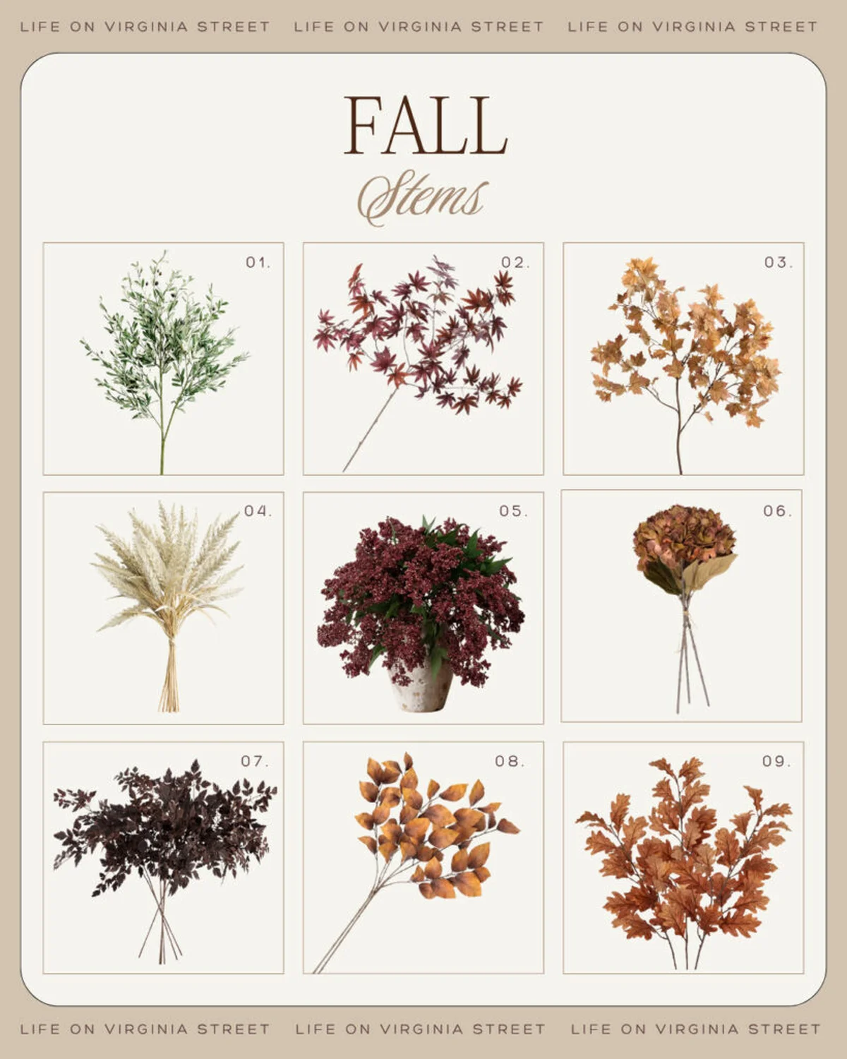 Grid of nine autumnal floral stems and branches in fall colors
